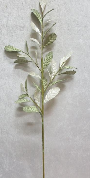 GL4273-P Sage-Cream