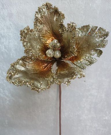 GN4257-P Brown-Platinum